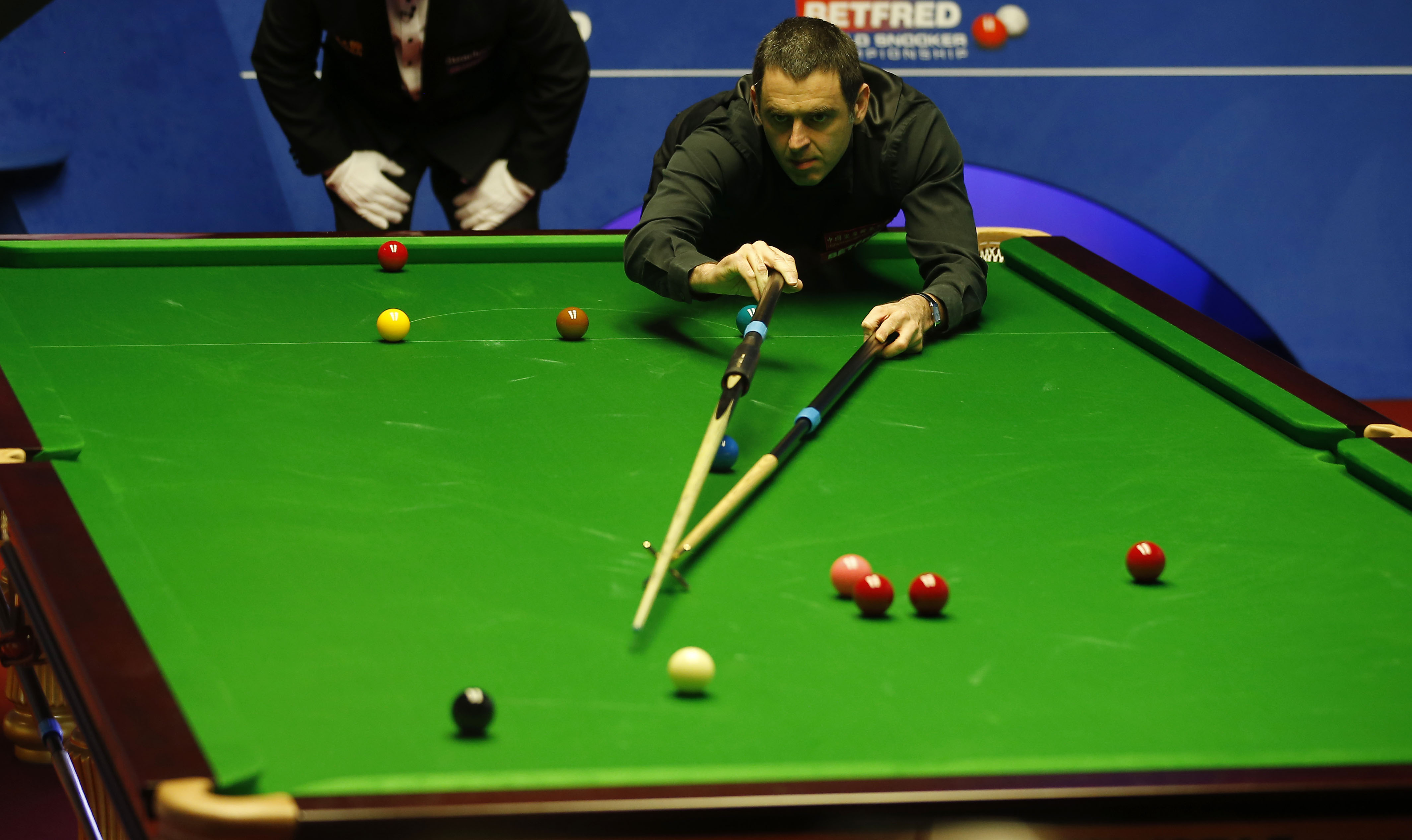 帮助品牌在 帮助品牌在