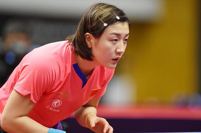 新人提供高 新人提供高